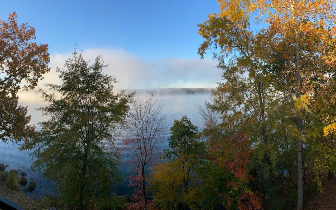 Mornings at the Lake